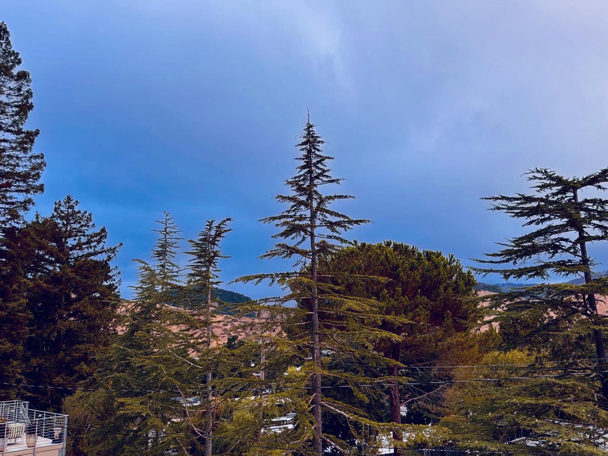 Luxury Suite With Views - San Rafael, Gateway To Sf & Wine Country Екстериор снимка
