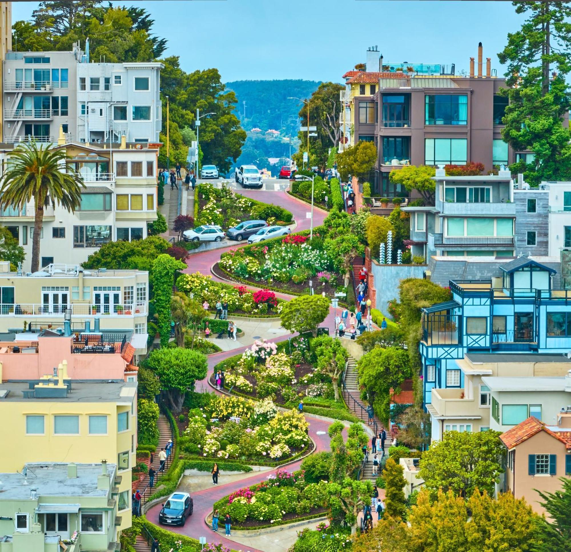 Luxury Suite With Views - San Rafael, Gateway To Sf & Wine Country Екстериор снимка